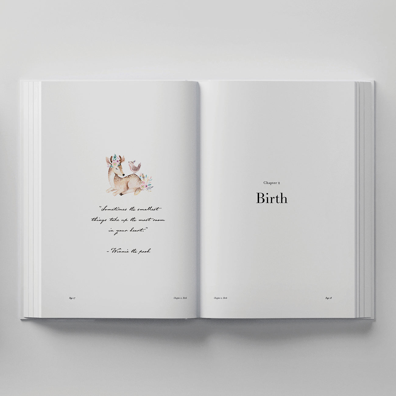 Truly Amor Bebè book my birth pages