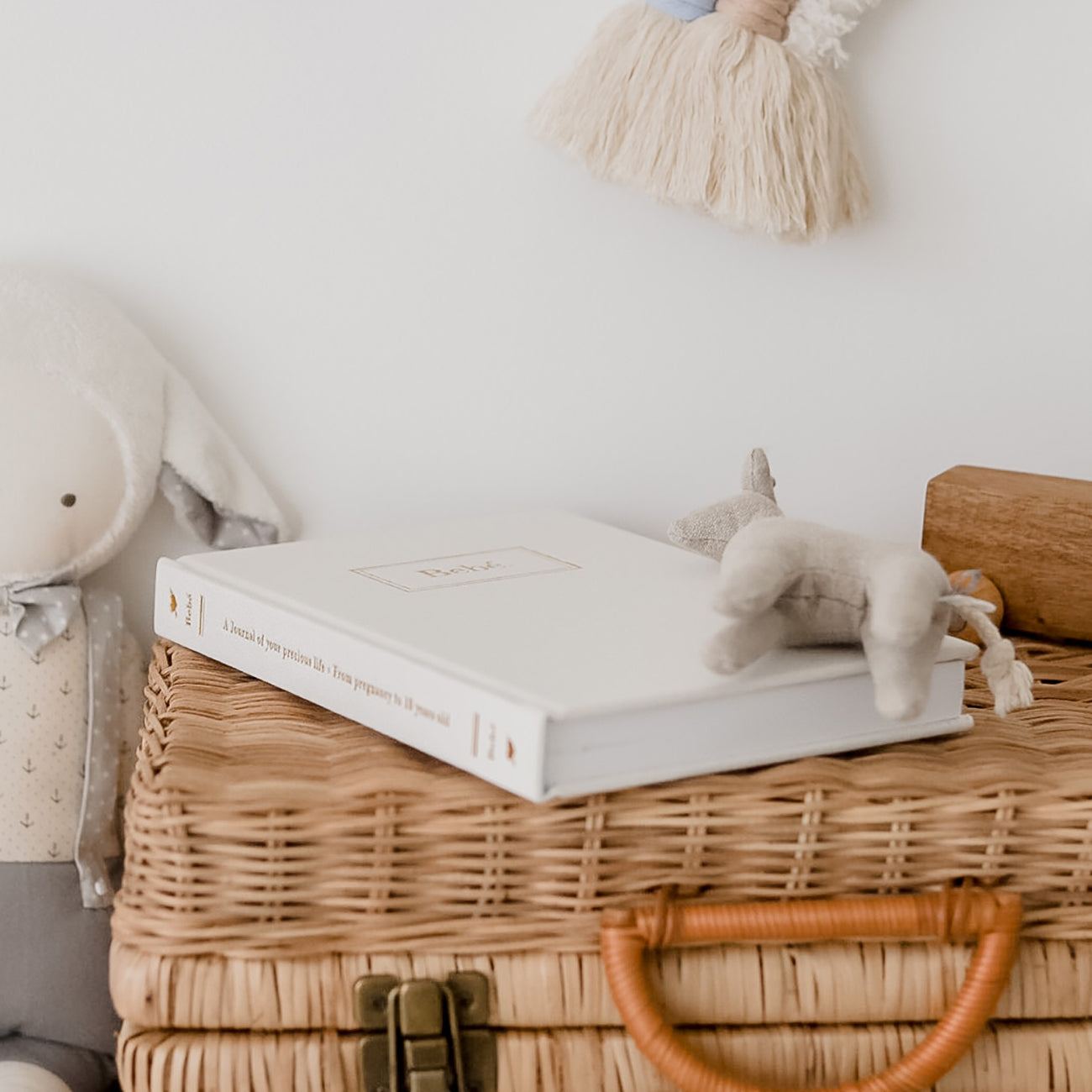 Baby book
