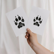 Ink-Free Pet Paw Print Set