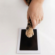 Ink-Free Pet Paw Print Set