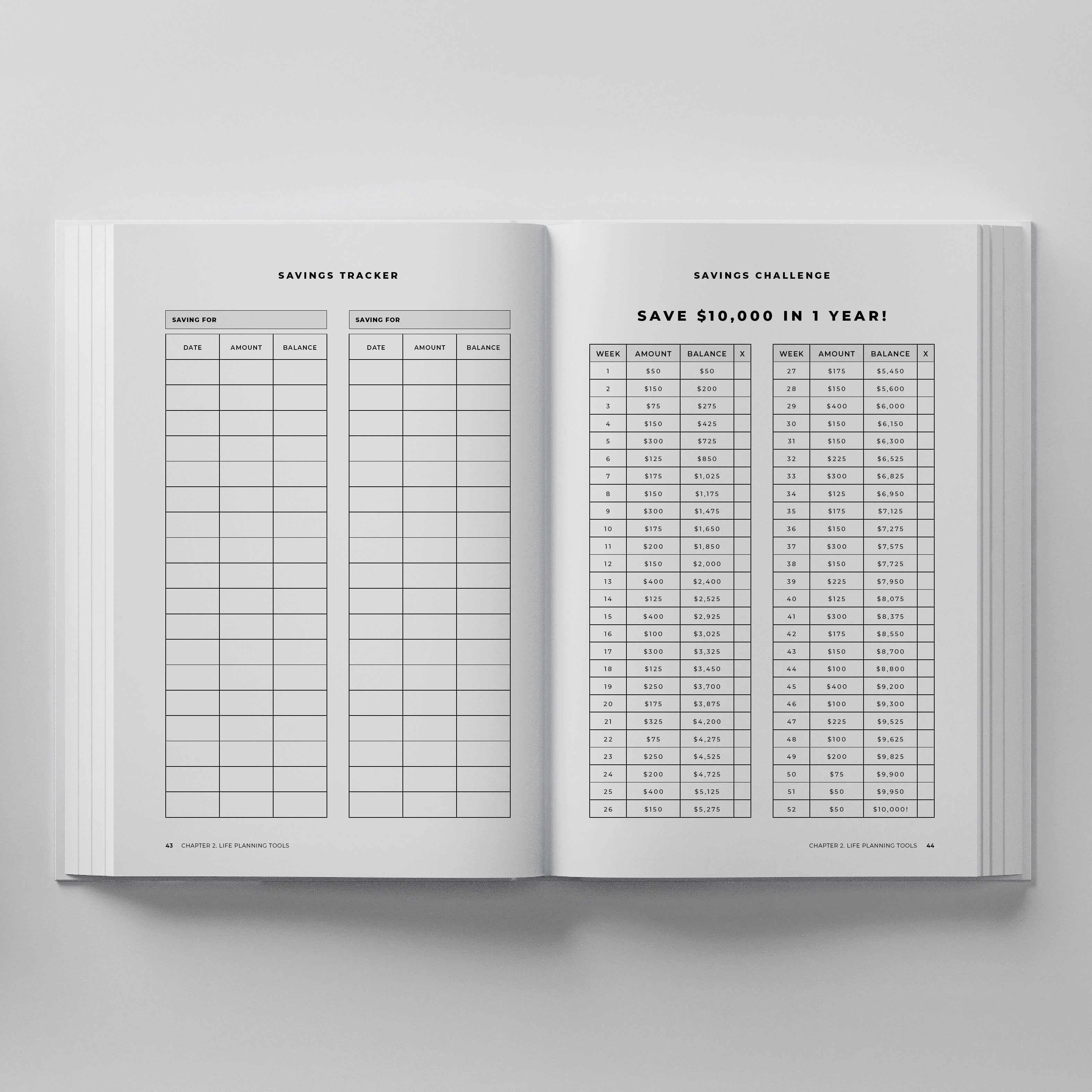 Truly Amor Weekly Life Planner savings challenge